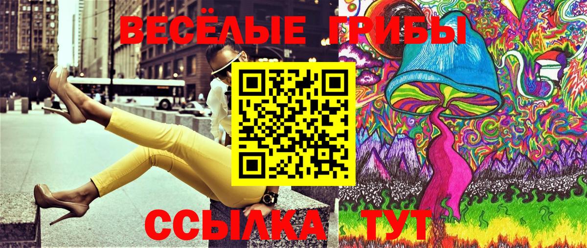 Галлюциногенные грибы Psilocybine cubensis  Вход с VPN  Новоалтайск 